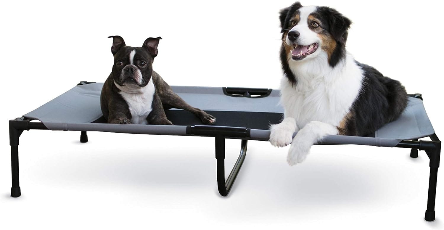 XLARGE ELEVATED DOG BED